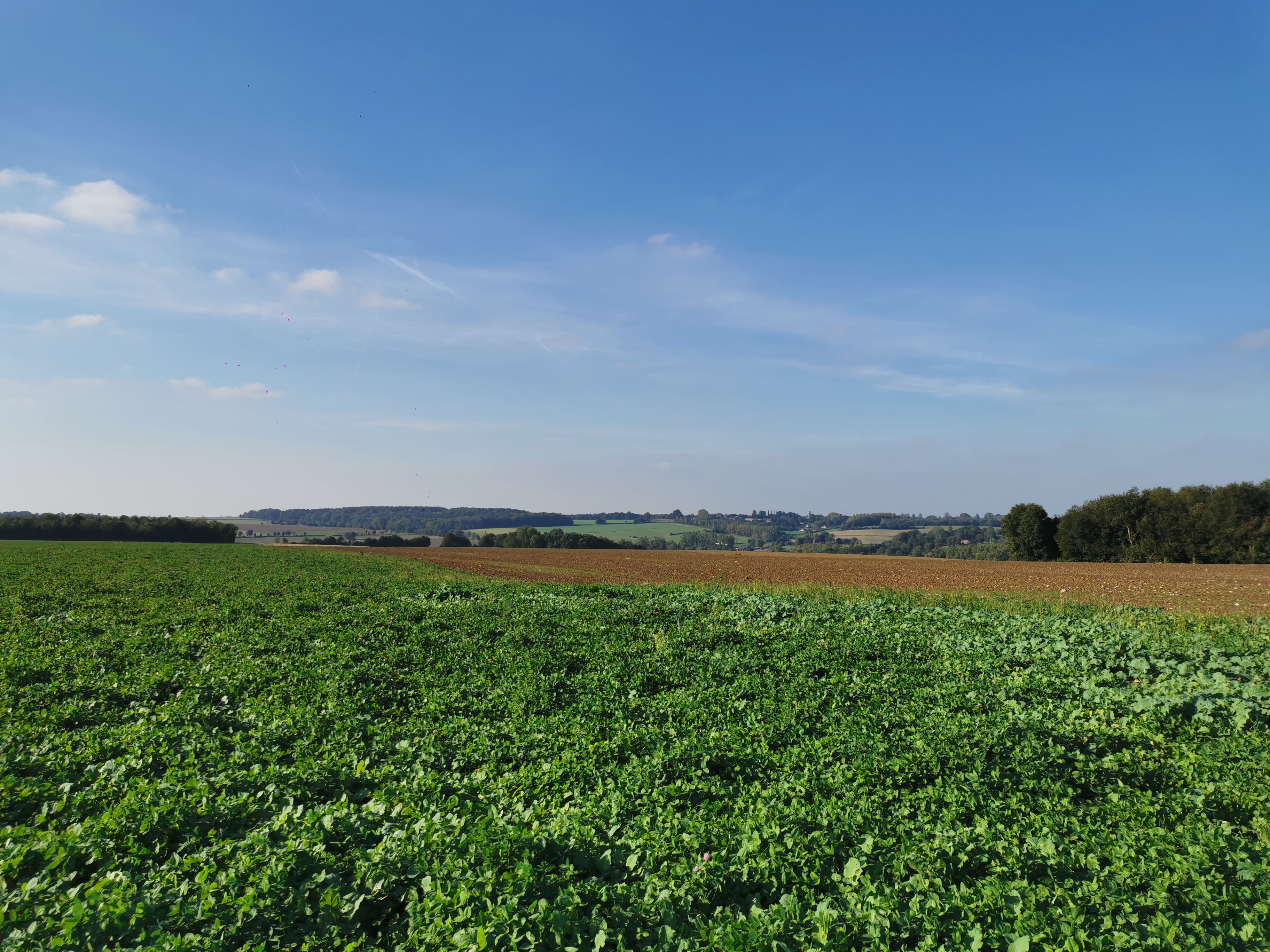 Farm field in France