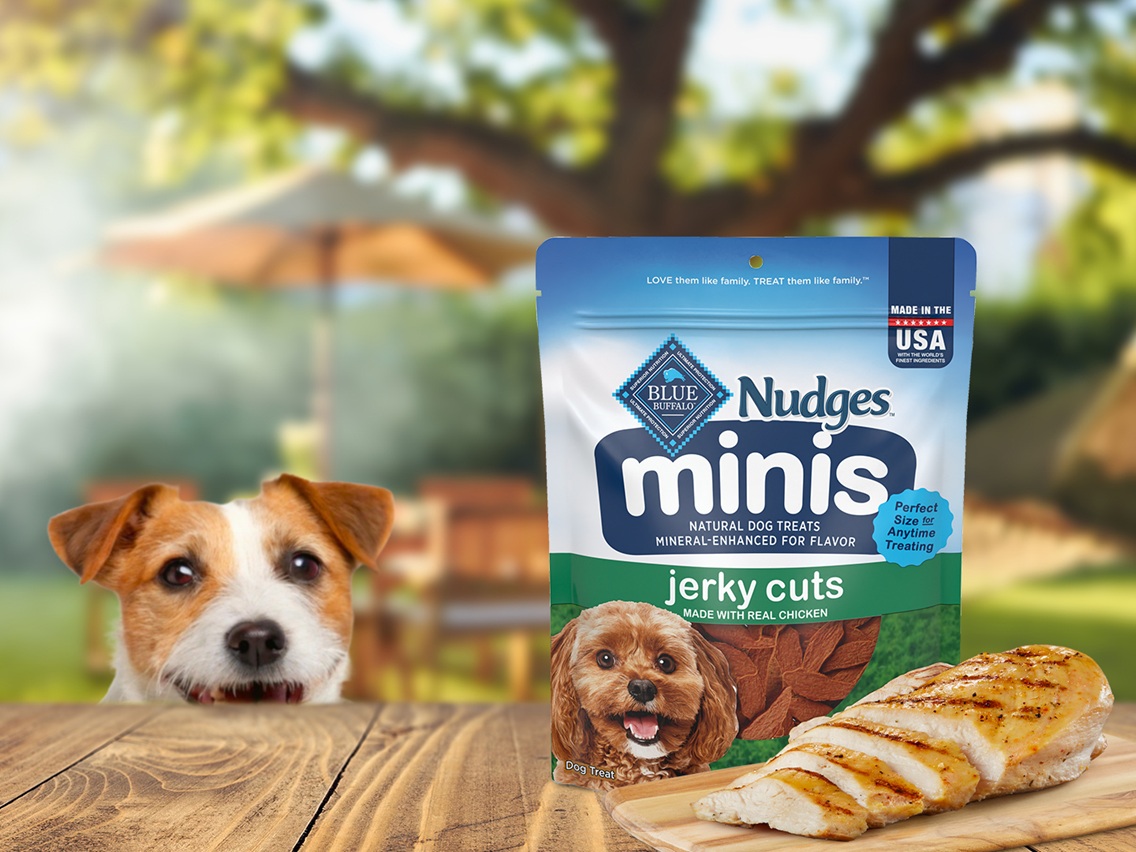 ​Dog sitting by an outdoor picnic table, looking at the new BLUE Nudges Minis in a grill-inspired flavor​